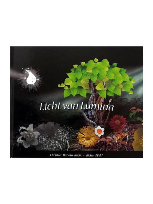 Licht van Lumina 9789077065570 Chr. Duhoux-Rueb, Boeken, Kinderboeken | Kleuters, Gelezen, Verzenden