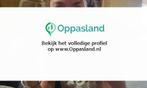 Marieke zoekt een oppas in Stad aan t Haringvliet voor 2..., Nieuw