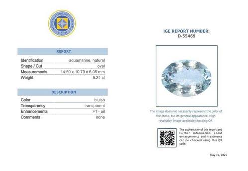 Zonder Minimumprijs Blauw Aquamarijn - 5.24 ct - Instituto, Sieraden, Tassen en Uiterlijk, Edelstenen