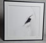 Atrayoux - Collection White & Wild - Quaerere - 50x50 cm
