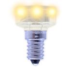 E10 - LED lamp warm wit  voor kermisverlichting, Verzenden, Nieuw