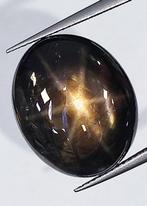 Zwart Stersaffier - 29.36 ct - Instituto Gemólogico Español, Sieraden, Tassen en Uiterlijk, Edelstenen, Nieuw