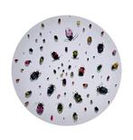 Pablo Fernandez Pujol (Winner of the Paul Ricard Artprice) -, Antiek en Kunst, Kunst | Schilderijen | Modern