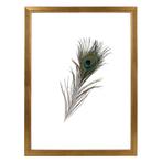 Fotolijst Dubbelglas 50x65 Tropez, Nieuw