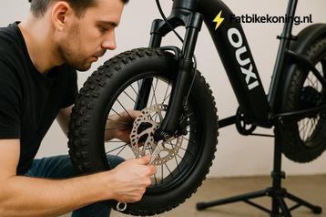 Remschijf vervangen (per kant) | Fatbike Reparatie OUXI beschikbaar voor biedingen