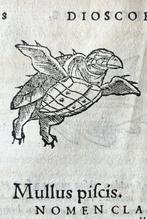 Dioscoride - De Medicinali materia - 1552, Antiek en Kunst