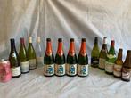 Tintin - 14 flessen: 4x Champagne-Hervieux + 3x bière + 7x, Boeken, Nieuw