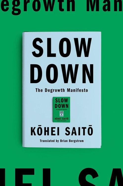 9781662602368 Slow Down Kohei Saito, Boeken, Economie, Management en Marketing, Nieuw, Verzenden