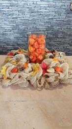 Physalis Lampionnetjes 50 stuks, Ophalen of Verzenden, Nieuw