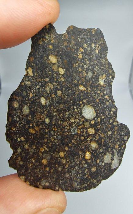 Meteoriet. LL3 type. NWA 17583, gewone chondriet. - 11.76 g, Verzamelen, Mineralen en Fossielen