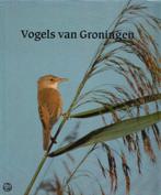 Vogels van Groningen 9789062430314 Boekema, Verzenden, Gelezen, Boekema