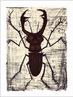 Bernard Buffet (1928-1999), daprès - Série sur les Insectes