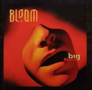 cd - Bloom - Big Block, Cd's en Dvd's, Cd's | Overige Cd's, Zo goed als nieuw, Verzenden