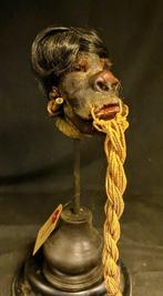 TSANTSA Gekrompen hoofd replica Taxidermie replica montage -, Nieuw
