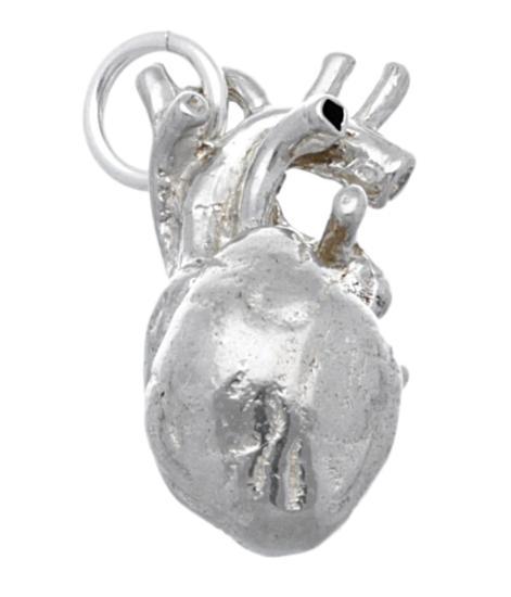 Zilveren Hart anatomie groot kettinghanger, Sieraden, Tassen en Uiterlijk, Kettinghangers, Verzenden