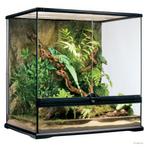 Exo Terra Glas Terrarium | 60 x 45 x 60CM met achterwand, Dieren en Toebehoren, Reptielen en Amfibieën | Toebehoren, Nieuw, Ophalen of Verzenden