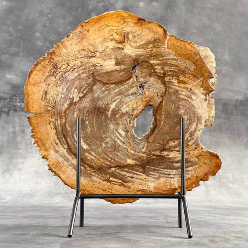 C- prachtige plak versteend hout op een aangepaste standaard, Antiek en Kunst, Kunst | Designobjecten
