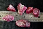 Robijn 48 karaat ruwe robijnkristallen, onbehandeld- 9.59 g