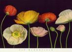 Kunstdruk Pip Bloomfield - Poppy Garden I 91x66cm, Verzenden, Nieuw