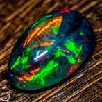 Eerste Kwaliteit AAA+++ Zwart Opal Cabochon 13,5 ct- 2.7 g, Nieuw