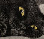 Half a sleep, half awake - NO RESERVE ! - Emi Sat  (b