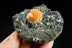 BIG MESOLITE op THOMSONITE botryoïdale formatie op matrix, Verzamelen, Mineralen en Fossielen