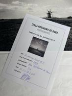 Tessa Posthuma de Boer - The barren land #2