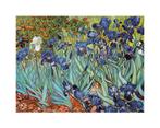 Kunstdruk Vincent Van Gogh - Iris 30x24cm, Nieuw, Verzenden