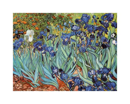Kunstdruk Vincent Van Gogh - Iris 30x24cm, Huis en Inrichting, Woonaccessoires | Schilderijen, Tekeningen en Foto's, Nieuw, Verzenden