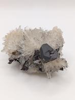 PEZZO UNICO Hubneriet met Sphaleriet op Kwarts (Pasto Bueno,, Verzamelen, Mineralen en Fossielen