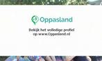 Inge zoekt een oppas in Schalkhaar voor 2 kinderen op zat...