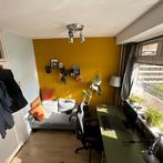 Kamer te Huur in Huize Cactus gevonden in Delft, Minder dan 20 m², Delft