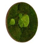 Vintlux Mosschilderij Rond 100 cm Donker Eiken - Esbjerg, Nieuw