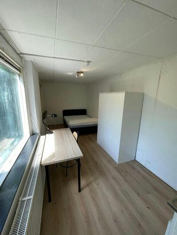 Studio te huur in Delft - 375 m² - 2 kamer(s) - 2 kamers beschikbaar voor biedingen