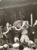 Robert Doisneau - La ménagerie coloniale du professeur