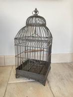Vogelkooi - Smeedijzer - Vogelkooi antiek, Antiek en Kunst, Curiosa en Brocante