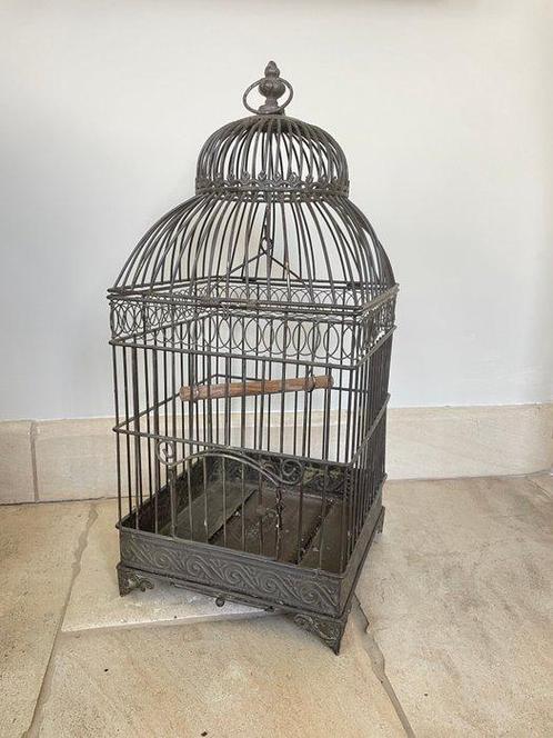 Vogelkooi - Smeedijzer - Vogelkooi antiek, Antiek en Kunst, Curiosa en Brocante