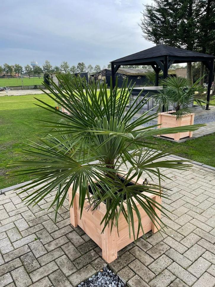 BLOEMBAK STEIGERHOUT ALLE MATEN, Tuin en Terras, Bloembakken en Plantenbakken, 30 tot 60 cm, 60 tot 100 cm, Rechthoekig, Nieuw