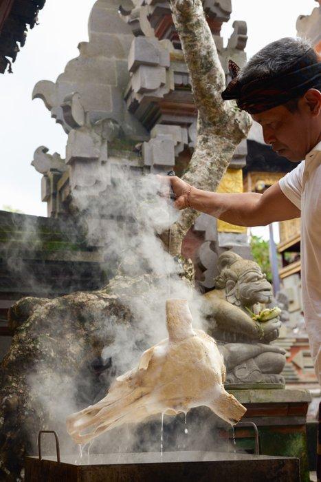 Geen veilingprijs - Authentieke grote bruine handgesneden, Antiek en Kunst, Kunst | Designobjecten