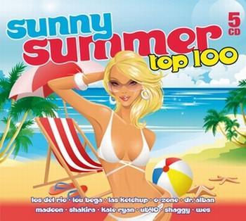 cd box - Various - Sunny Summer Top 100, Cd's en Dvd's, Cd's | Verzamelalbums, Zo goed als nieuw, Verzenden