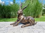 Beeld, half liggende haas - 31 cm - Brons, Antiek en Kunst