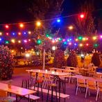 Patio Lichtsnoer kleur 20m met 24 LED Lichtsnoer Buiten, Tuin en Terras, Buitenverlichting, Nieuw, Verzenden