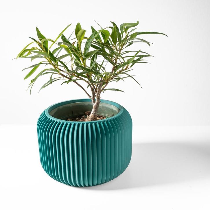 Nieuwe en uit breiding van collectie van vazen en bloempoten, Huis en Inrichting, Woonaccessoires | Vazen, Minder dan 50 cm, Overige kleuren