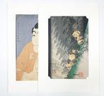 2 Ukiyo-e Prints (Shono /  & Takemura Sadanoshin /