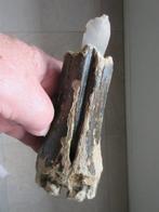 Mesolithisch / Epipaleolithisch Been Hand axe - 180 mm