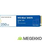 WD SSD Blue SN570 250GB, Computers en Software, Harde schijven, Nieuw, Western Digital, Verzenden
