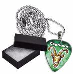 Steenbok plectrum ketting, sleutelhanger of oorbellen, Ophalen of Verzenden, Nieuw