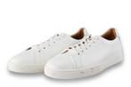 Steve Madden Sneakers in maat 41 Wit | 10% extra korting, Kleding | Dames, Schoenen, Verzenden, Wit, Steve Madden, Sneakers of Gympen