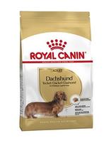 Royal Canin Dachshund / Teckel Adult, Verzenden, Nieuw