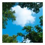 Wolk-bos plafond | Fotoprint | 1 paneel | 60x60cm, Ophalen of Verzenden, Nieuw in verpakking, Verlichting